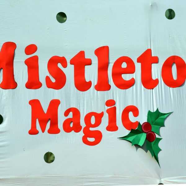 Mistletoe Magic